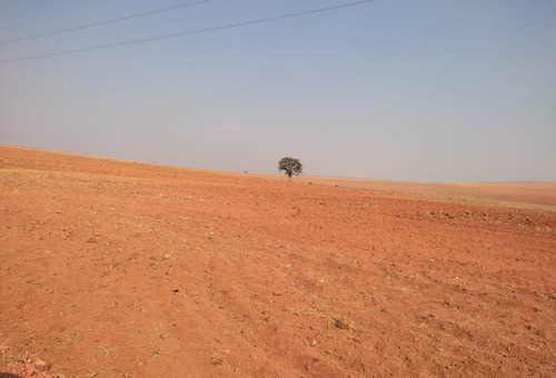 Imagem 14 de 14 de Vendo Fazenda Para Cultura Regiao De Araxa ( 6156 )