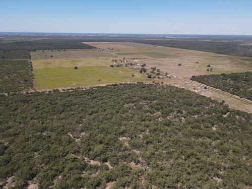 Imagen 3 de 30 de Campo Ganadero 3220 Ha - ( 420 Agrícolas ) Reconquista - Prov. De Santa Fe