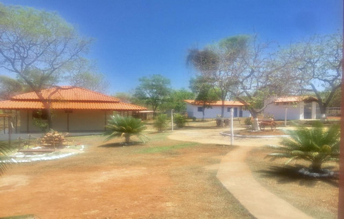 Fazenda Lagoa Santa 20hectares - 3619