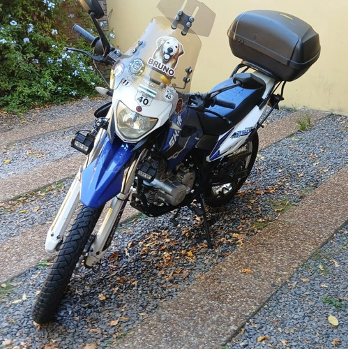 Motomel Skua 250 Pro