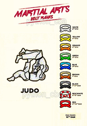 Pósters Aikido Capoeira Jiu Jitsu Judo Ju Jutsu - 42x30cm
