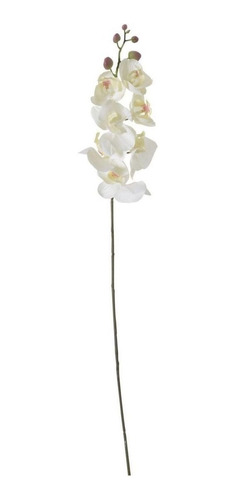 Flor Artificial Orquidea Blanca 69 Cm Home Collection