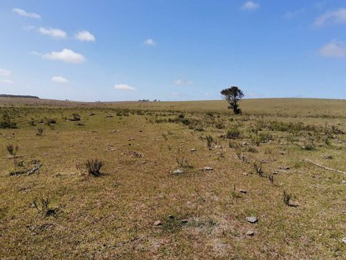 Venta De 30 Hectáreas De Campo En Garzón Maldonado (ref: Ksk-222)