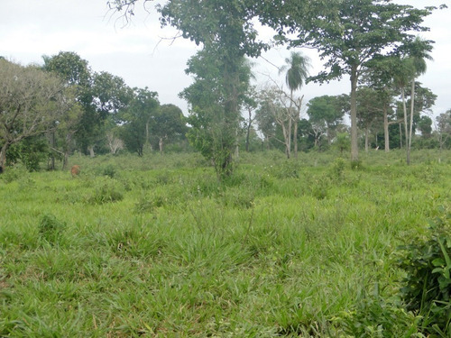 Fazenda Com 21.000 Hectares Em Corumbá - Ms
