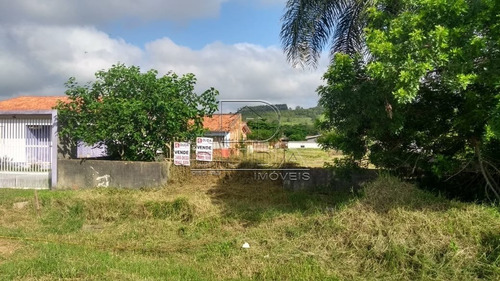 Imagem 3 de 3 de Terreno - Pedreira - Ref: 28009 - V-28007