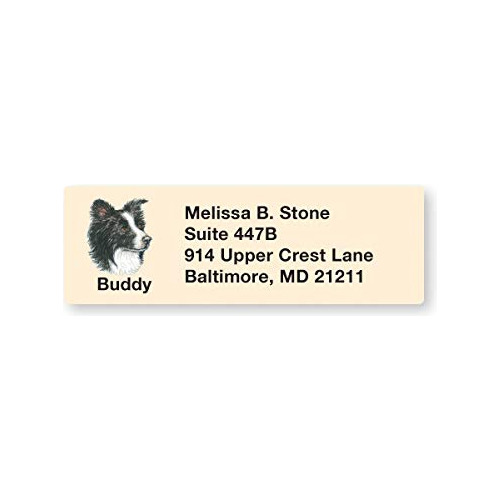 Border Collie Conjunto 215 Hoja Etiqueta Direccion