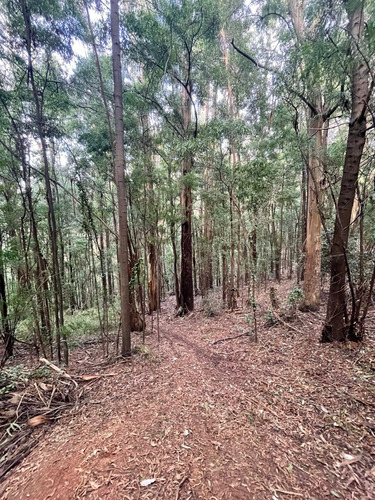 Terrenos En Venta Lo Pequen, Alto Concepción