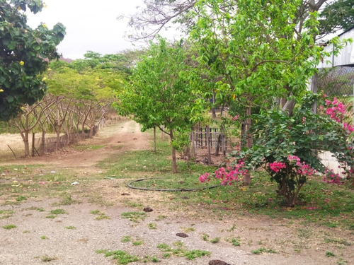 Imagen 3 de 14 de Finca En Yaracuy Municipio Bruzual Cumaripa