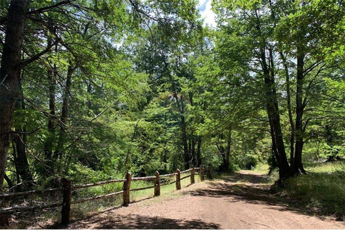 Parcelas Bosques De Palguin - Pucón