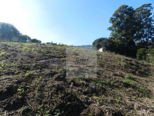 Imagem 9 de 22 de Terreno À Venda, 600 M² Por R$ 450.000,00 - Bosque - Vinhedo/sp - Te0109