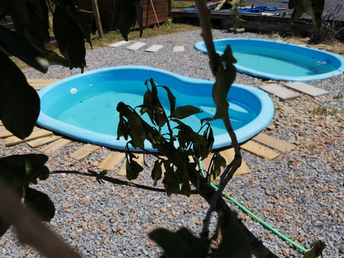 Cabaña Con Piscina Punta Rubia!disponible!