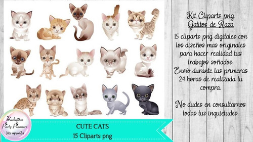 15 Cliparts Png Cats Gatos Gatitos