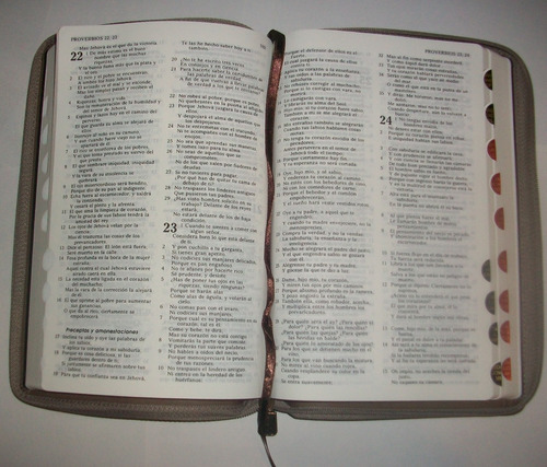  Biblia Reina Valera 1960, Mediana, 22x16 Cm, Cierre, Indice