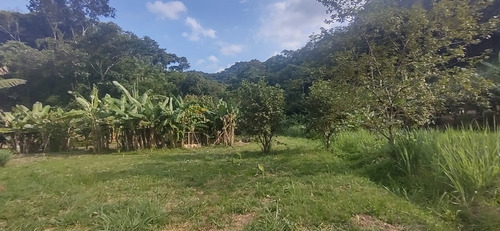 Imagem 16 de 26 de Juquiá/oportunidade/chácara Rica Em Água E Área De Plantio/ref:05354
