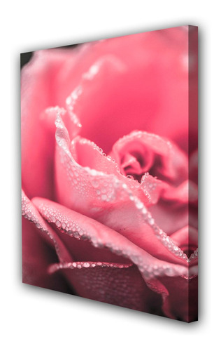 Cuadro 60x90cm Rosa Flor Jardin Planta M4