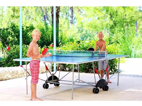 Imagen 6 de 8 de Set Ping Pong 2 Paletas + 3 Pelotas + Red Con Soportes Faydi
