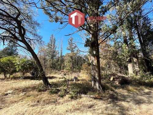Imagen 4 de 5 de Terreno - Piedra Blanca Arriba