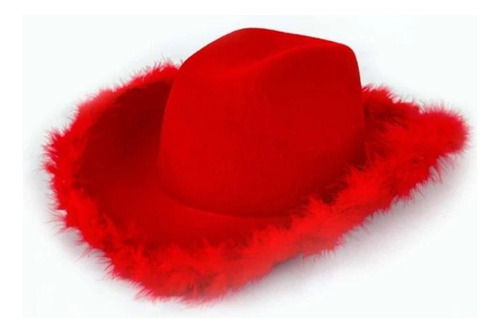 Sombrero Vaquero + Pañaleta Accesorio Concierto Cosplay