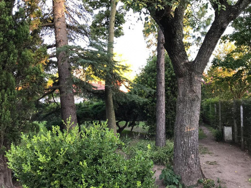 Quinta - San Miguel