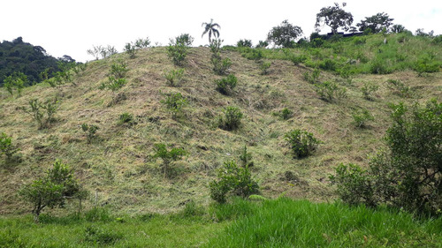 Imagen 11 de 14 de Se Vende Hermosa Finca