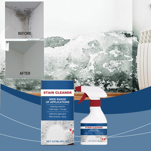 Limpiador De Manchas Espumoso F Acting Foam House 4006