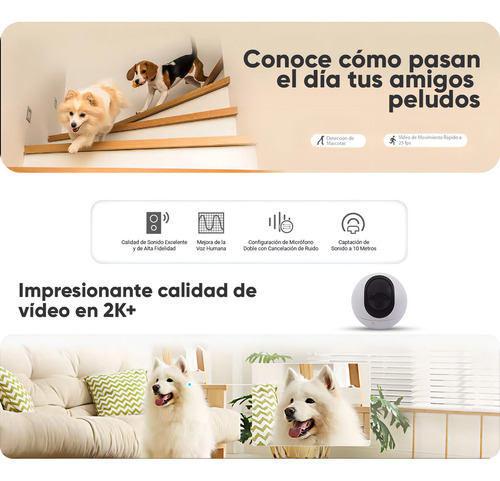 Ezviz Kit Mini Cámara PTZ C6-PLUS-256 PT IP de 4 MP Almacenamiento MicroSD 256Gb Wireless Inalambrica Detección Humanos y Audio Bidireccional CS-C6 Visión Nocturna Más Zoom de Seguimiento