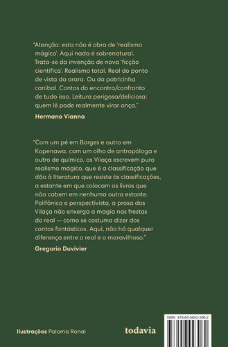 Ficções amazônicas, de Vilaça, Aparecida Vilaça. Editorial Editora Todavia, capa mole em português, 2022