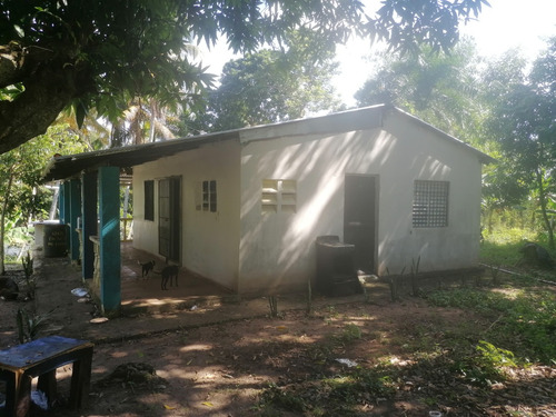 Venta De Finca Los Montones, Hato Dama San Cristóbal