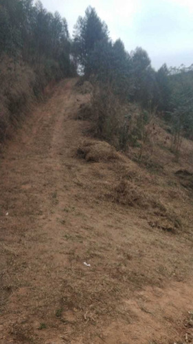 Imagem 12 de 14 de B20- Seu Terreno É Aqui 1.000m2 Apenas 5.000 De Entrada