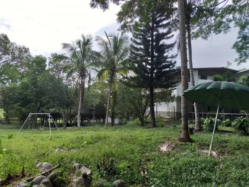 Finca En Venta En Yotoco. Cod V8605