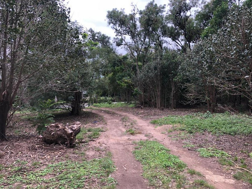 Terreno 4000 M2 En Venta En Villa Elena - Cortaderas