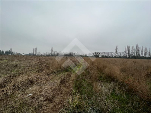Parcela Agrícola En Venta En Parral