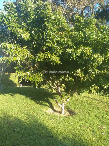 Imagem 5 de 14 de Chácara Aconchegante Com Toda A Simplicidade Do Campo.cód239
