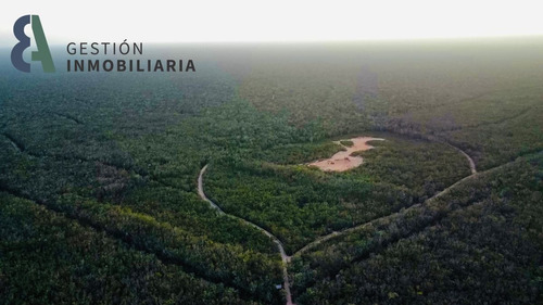 Imagen 8 de 10 de Terreno En Venta En Kuyabeh, Tulum, Qroo Ctv229