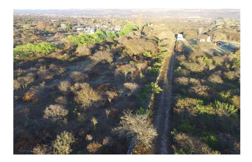 Imagen 23 de 30 de Venta De 5 Hectareas En Traslasierras