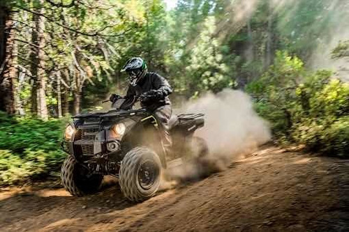 Imagen 13 de 14 de Cuatri Kawasaki Brute Force 300