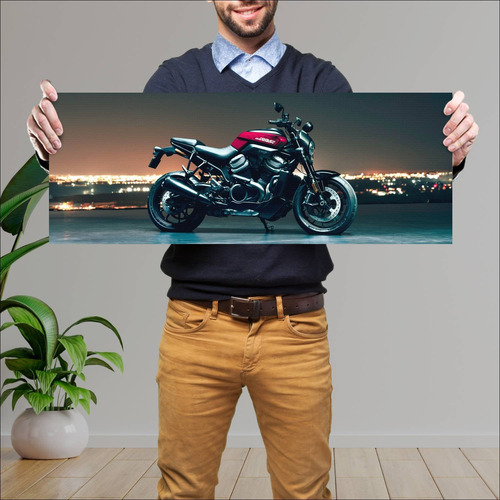 Cuadro 30x80cm Moto Harley Davidson Bronx 2021