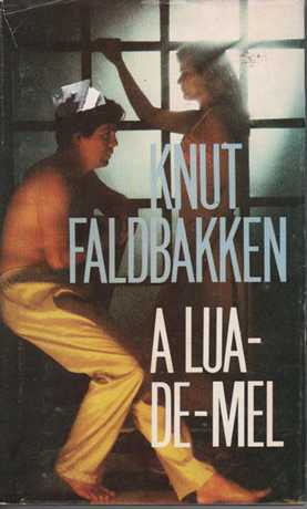 Livro A Lua De Mel - Knut Faldbakken