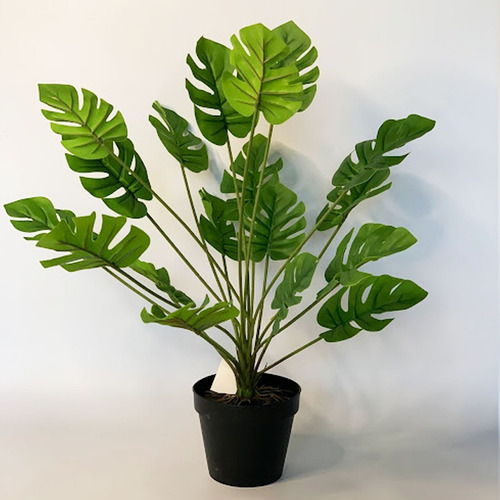 Imagen 3 de 10 de Planta Artificial Costilla De Adán Decoración 55 Cm