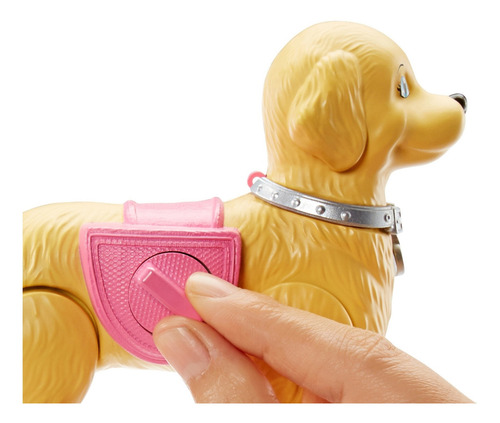 Muñeca Barbie Modelo Paseo De Perrito