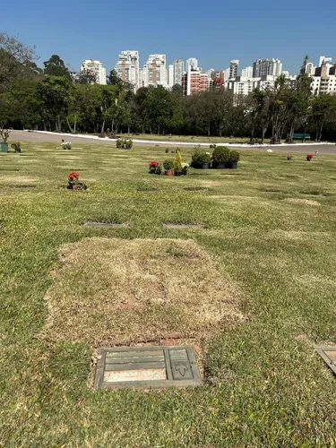 Jazigo Cemitério Parque Morumbi Divido Taxa De Transferência
