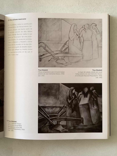 Libro - Anita Brenner | Luz De La Modernidad