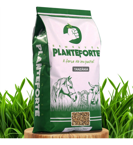  Sementes Plante Forte capim Tanzânia 5kg