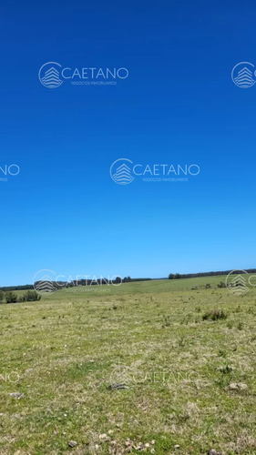 Venta Chacra Jose Ignacio Con Costa Arroyo Anastasio