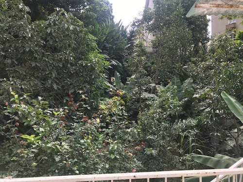 Imagen 7 de 11 de Casa Con Terreno En Venta En Colinas De Bello Monte