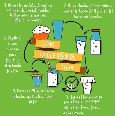Imagen 4 de 4 de Envase Para Cultivo Kefir De Leche, Búlgaros, Gusanitos