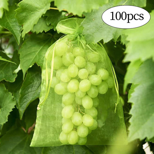 100 Uds Bolsas De Protección De Frutas Bolsas 13cm X 18cm