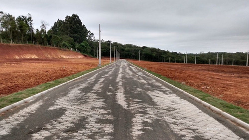Imagem 2 de 10 de Terreno - Sangao - Ref: 348 - V-348