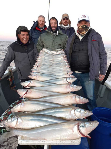 Imagen 5 de 5 de Guia Pesca Pejerrey Embarcada Rio De La Plata