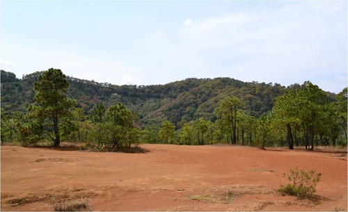 Terreno En Venta En Temascaltepec.
